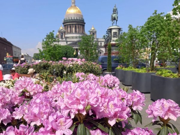 Храмовое ожерелье Петербурга - фото 2