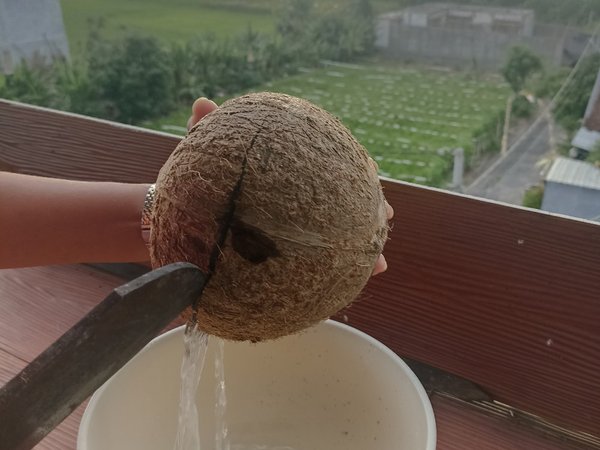 Кокосовое масло своими руками: мастер-класс в Сануре - фото 4