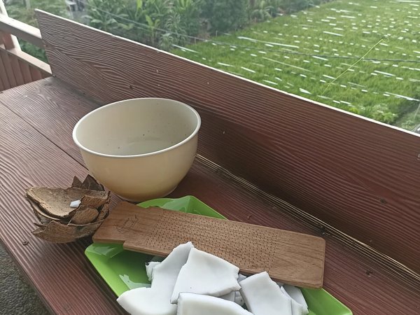 Кокосовое масло своими руками: мастер-класс в Сануре - фото 2
