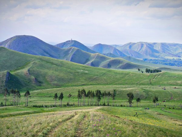 Прогулка тропой степного волка
