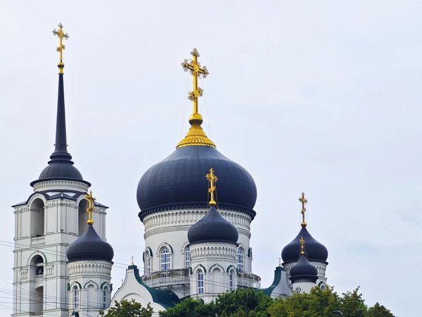 Знакомьтесь, Воронеж! - фото 2