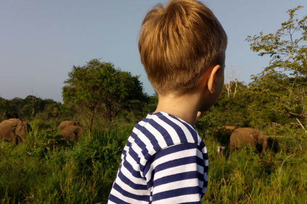 Фото экскурсии - Тур по Шри-Ланке на неделю - 4