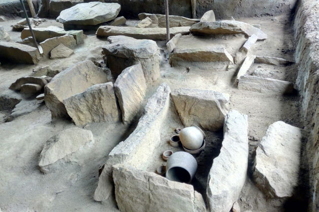 Фото экскурсии - Тур по Шри-Ланке на неделю - 8