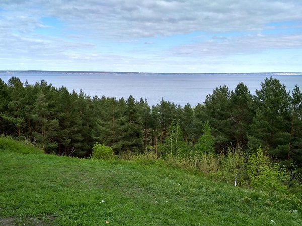 Мастер-класс по рисованию акварелью в Винновской роще - фото 4