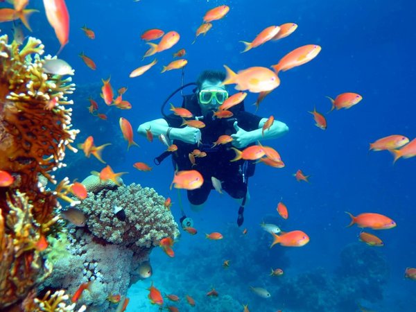 Подводные и надводные активности - фото 3