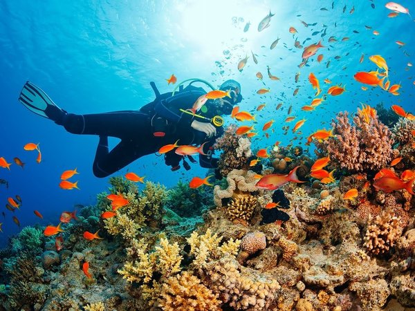 Подводные и надводные активности - фото 1