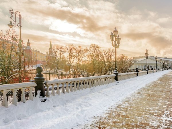 Московские истории с итальянским акцентом - фото 3