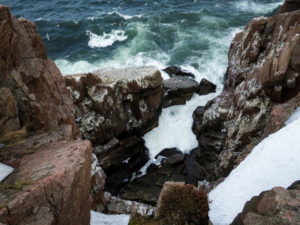 Арктические приключения: морская прогулка в поисках китов, Териберка и этническая деревня - фото 3