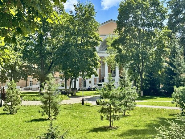 Чудеса Басманного района: дракон, горох и аленький цветочек - фото 4