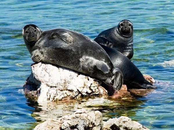 На выходные по шаманским местам и островам Малого Моря Байкала: сплав на лодках (палатки) - фото 2