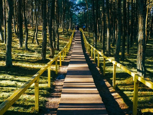 Куршская коса и Зеленоградск для маленькой компании - фото 1