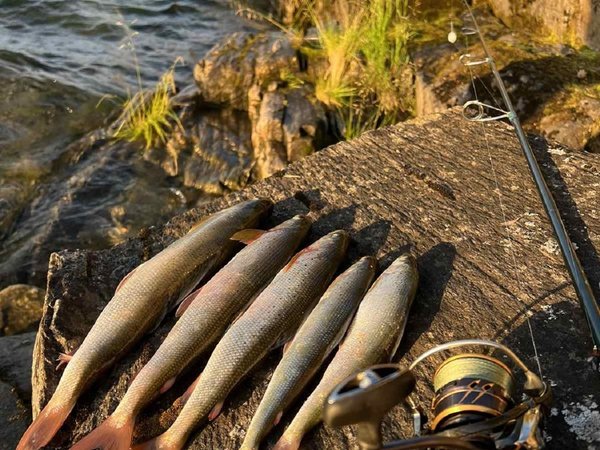 Экстрим-экспедиция на лодке вокруг Ольхона и рыбалка на Байкале только для вас - фото 3