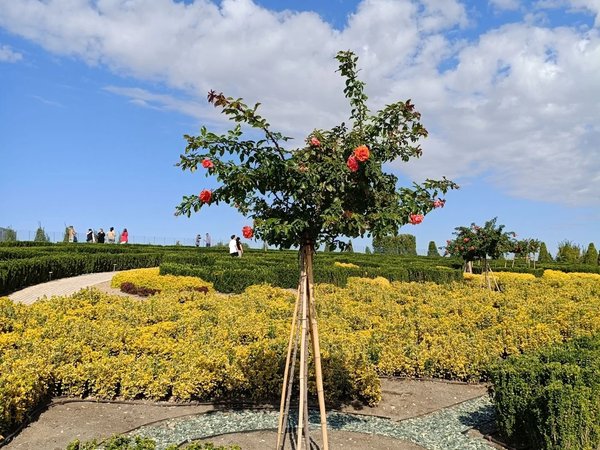 Арт-прогулка по Парку облаков в Краснодаре - фото 3