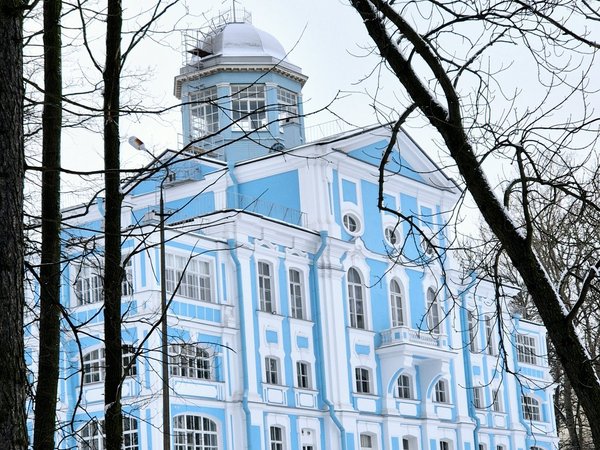 Путешествие из Санкт-Петербурга по Петергофской дороге - фото 4