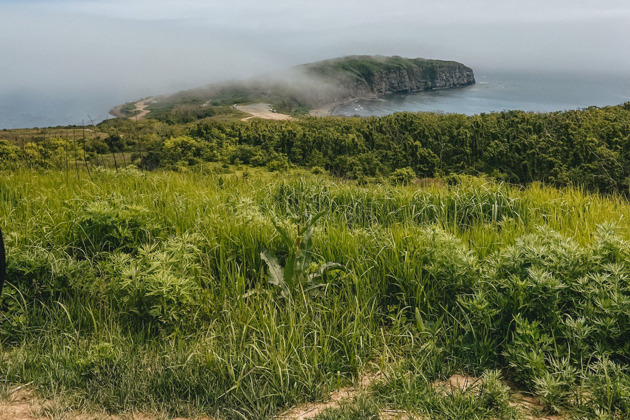 Фото - экскурсия: Путешествие из Владивостока к красивейшим уголкам острова Русский