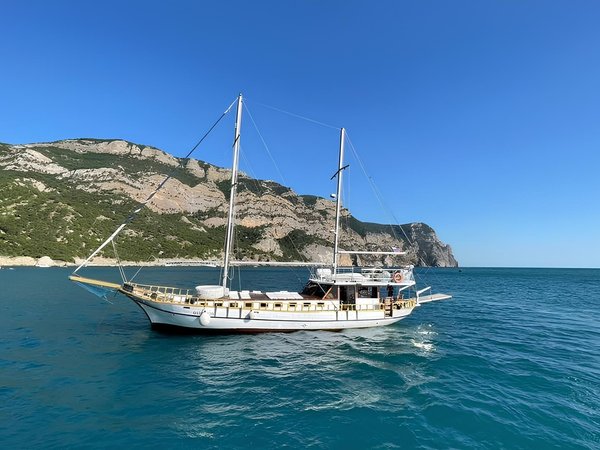 Прогулка на парусной яхте «Морской волк»
