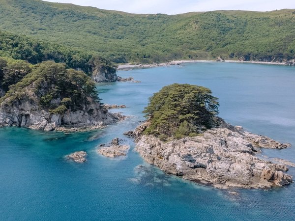 Полуостров Гамова: край величественных сосен - фото 4