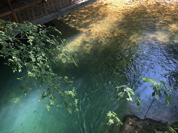 Воды Кындыга и ущелье Черниговка — из Гагры - фото 3