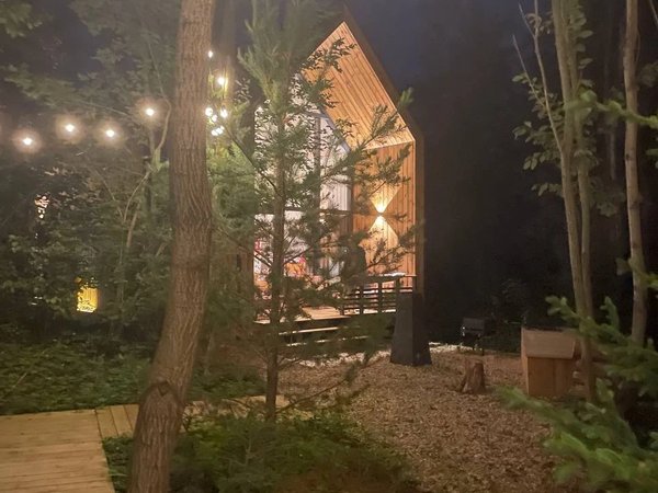 Перезагрузка в загородном коттедже без телефонов, суеты и детей (всё включено) - фото 4