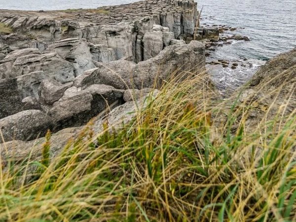 Мыс Брюса: приморский кусочек Исландии - фото 4