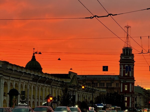 Пушкинский Петербург: прогулка по аристократичному центру - фото 3