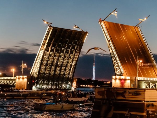 Романтика белых ночей и разводных мостов - фото 4