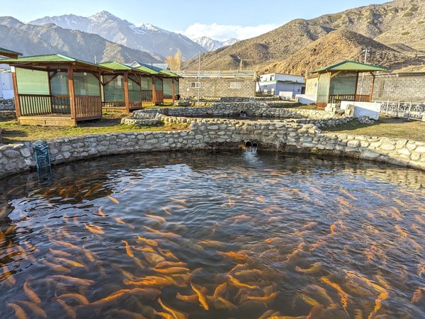 Индивидуальный тур к берегам Иссык-Куля с отдыхом в SPA-отеле и горячих термах и лёгким треккингом - фото 3