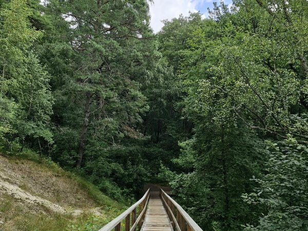 Куршская коса: волшебство на каждом шагу (из Калининграда) - фото 3