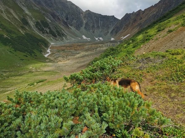 Горный массив Вачкажец: красота заповедной Камчатки - фото 2