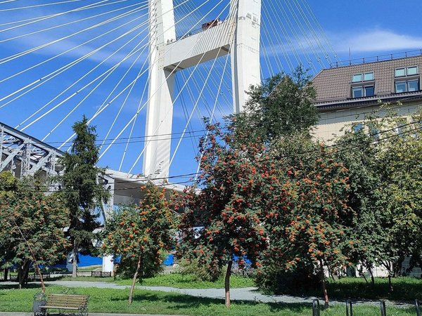 Так начинался Новосибирск: по следам инженеров-железнодорожников - фото 2