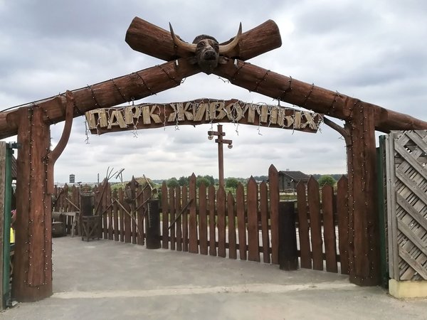 Трансфер из Минска в зоопарк «Диприз» под Барановичами и обратно - фото 4