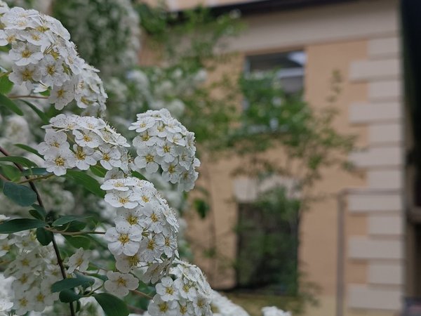 Осмоловка — солнечные дома Минска - фото 2