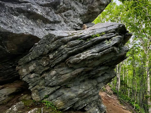 Автомобильная экскурсия «Сахалин — место силы» - фото 4