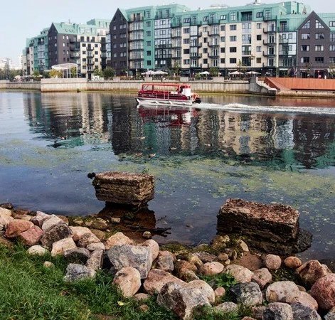 Пиво, тайны и дорога в дюны. Кёнигсбергский уикенд - фото 1