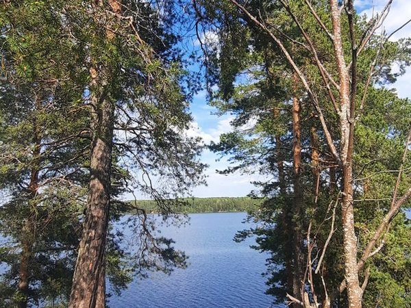 В Приладожье из Петрозаводска: рыбалка и отдых на лесном озере - фото 3