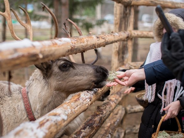 Выходные в сказочной Карелии: основные локации и культура Русского Севера - фото 1