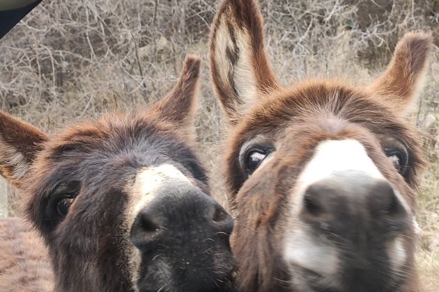 Фото экскурсии - Однодневный тур: Медовые водопады, гора Кольцо, перевал Гумбаши и древний храм X века - 7