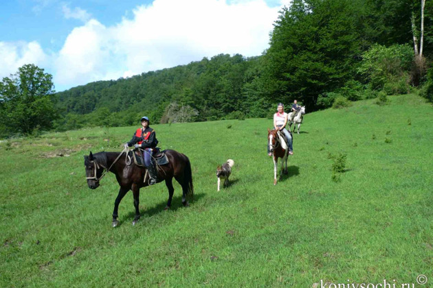 Фото - экскурсия: Конные прогулки по живописным местам (Адлер)