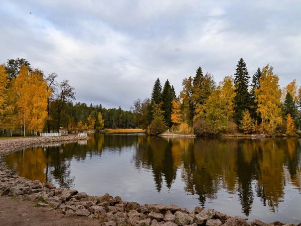 Парк Монрепо — для детей 8-11 лет