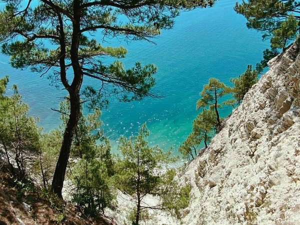 Из Краснодара — к морю и виноградникам, в Геленджик! - фото 4