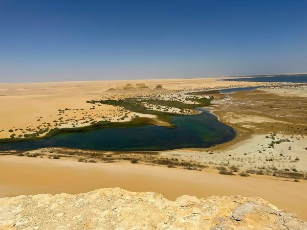 Оазис Файюм из Каира: джип-сафари, сэндбординг и Долина китов - фото 4