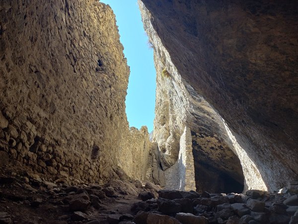 Лучшие дары Северной Осетии - фото 4