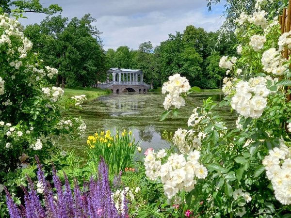 Пешком по Царскому Селу: Екатерининский и Александровский парки - фото 2