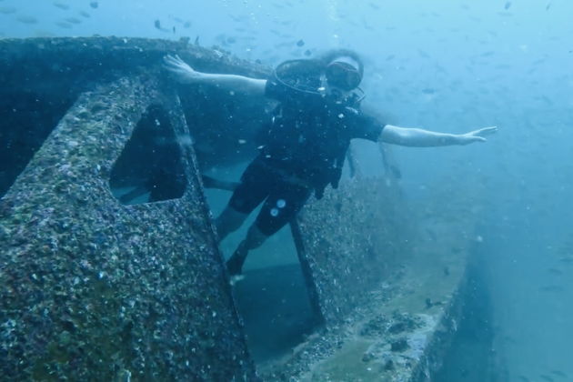 Фото экскурсии - Погружение с персональным гидом от Andaman Diving&Travel Company - 10