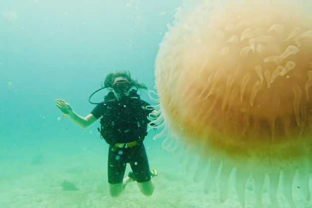 Фото экскурсии - Погружение с персональным гидом от Andaman Diving&Travel Company - 7