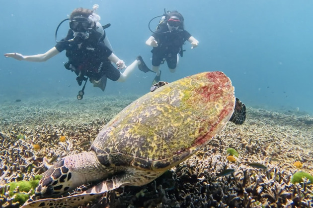 Фото - экскурсия: Дайвинг с индивидуальным инструктором. Andaman Diving&Travel Company