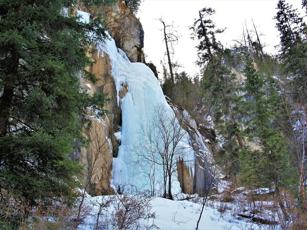 Камышлинский водопад и зубровый питомник - фото 2