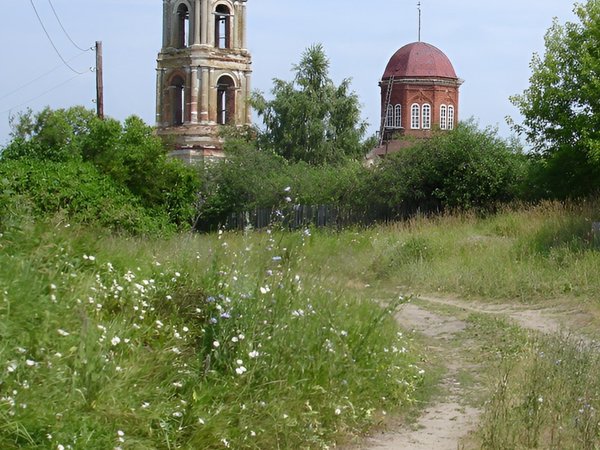 Земли благословенный уголок: из Рязани — в Окский заповедник (на вашем авто) - фото 4