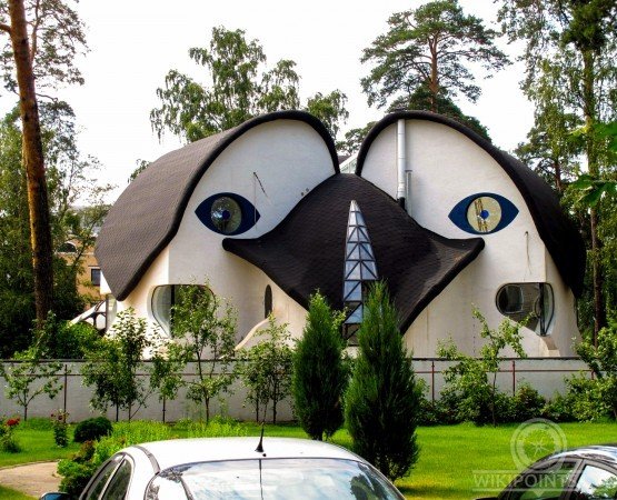 Живописный Сестрорецк - фото 4