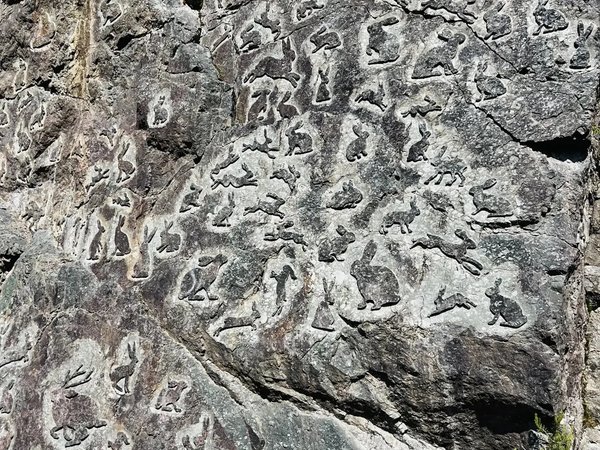 Удивительный Гирвас, звонкий Кивач и забытый аэродром - фото 3